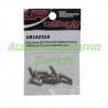 Tornillos de botón 3x10mm (10u)