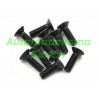 Tornillos avellanados 3x6mm (10u) XTR