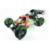 Sworkz Apollo 1/8 Nitro RTR