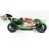 Sworkz Apollo 1/8 Nitro RTR